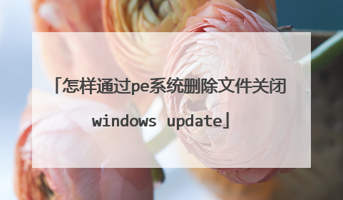 怎样通过pe系统删除文件关闭windows update