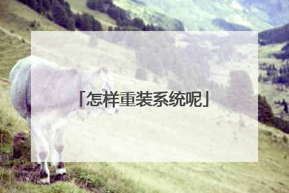 怎样重装系统呢