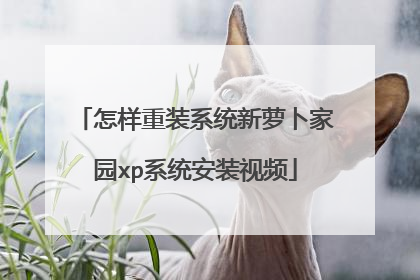 怎样重装系统新萝卜家园xp系统安装视频