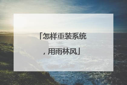 怎样重装系统,用雨林风