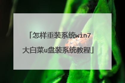 怎样重装系统win7 大白菜u盘装系统教程