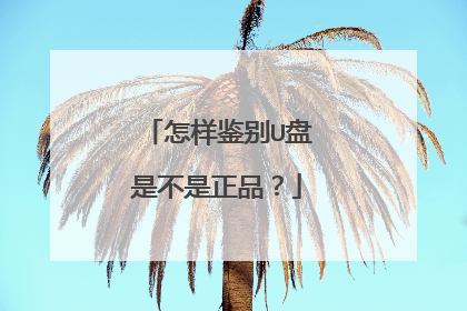 怎样鉴别U盘是不是正品?