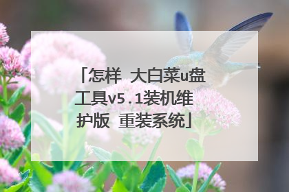怎样 大白菜u盘工具v5.1装机维护版 重装系统