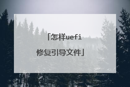 怎样uefi修复引导文件