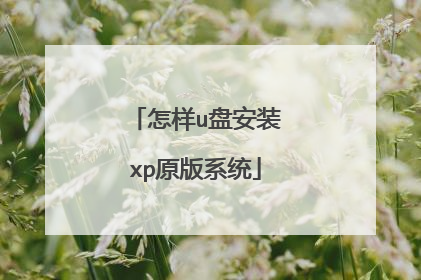 怎样u盘安装xp原版系统