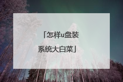 怎样u盘装系统大白菜
