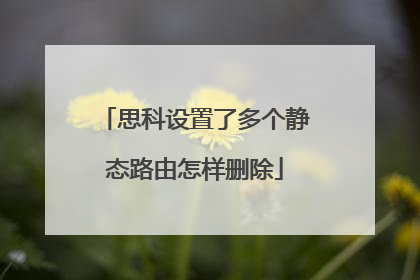 思科设置了多个静态路由怎样删除
