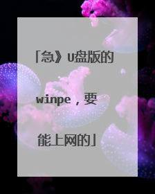 急》U盘版的winpe，要能上网的