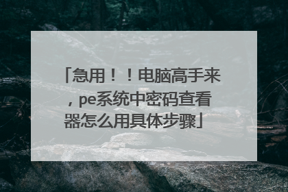 急用！！电脑高手来，pe系统中密码查看器怎么用具体步骤