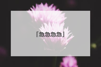 急急急急