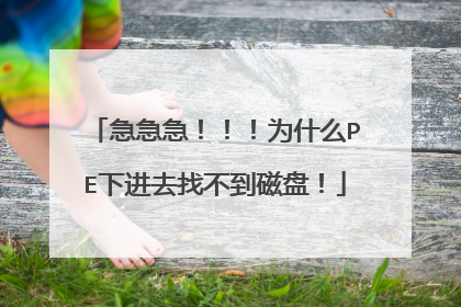 急急急!!!为什么PE下进去找不到磁盘!