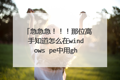 急急急!!!那位高手知道怎么在windows pe中用ghost32安装系统