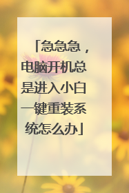 急急急，电脑开机总是进入小白一键重装系统怎么办