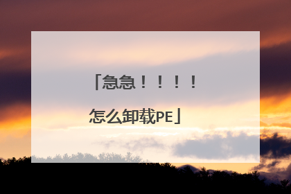 急急!!!!怎么卸载PE
