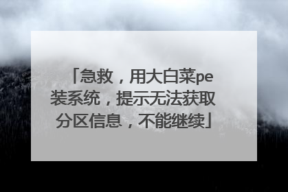 急救,用大白菜pe装系统,提示无法获取分区信息,不能继续