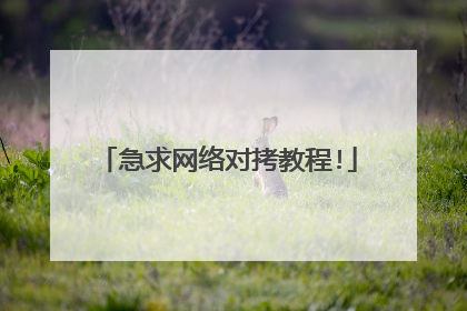 急求网络对拷教程!