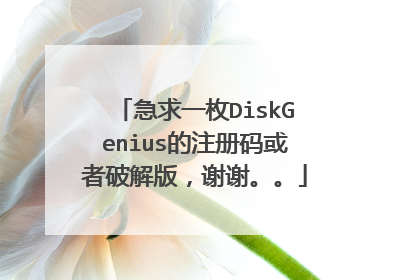 急求一枚DiskGenius的注册码或者破解版，谢谢。。