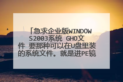 急求企业版WINDOWS2003系统 GHO文件 要那种可以在U盘里装的系统文件。就是进PE镜像里的文件夹 谢谢