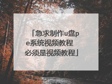 急求制作u盘pe系统视频教程 必须是视频教程