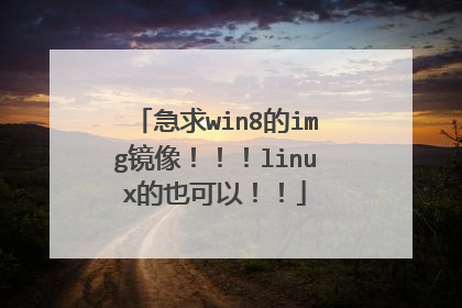 急求win8的img镜像!!!linux的也可以!!