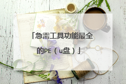 急需工具功能最全的PE(u盘)