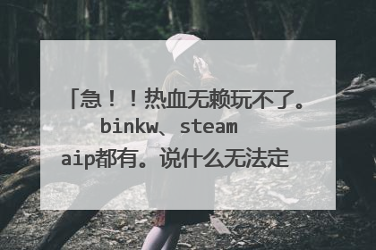 急!!热血无赖玩不了。binkw、steam aip都有。说什么无法定位程序输入点(有图)