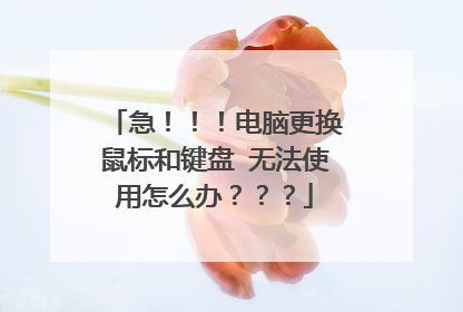 急!!!电脑更换鼠标和键盘 无法使用怎么办???