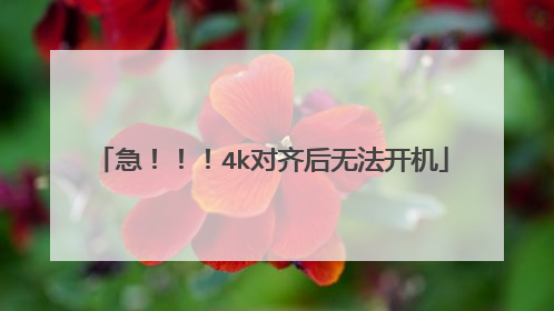急!!!4k对齐后无法开机