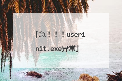 急!!!userinit.exe异常