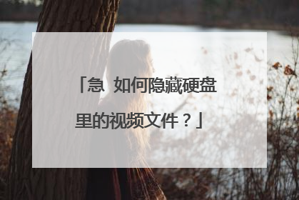 急 如何隐藏硬盘里的视频文件?