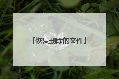 恢复删除的文件