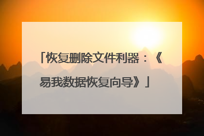 恢复删除文件利器:《易我数据恢复向导》