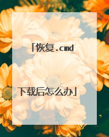 恢复.cmd下载后怎么办