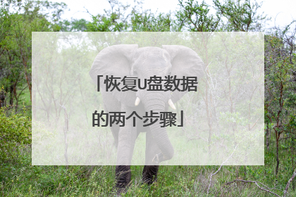 恢复U盘数据的两个步骤
