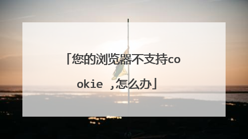 您的浏览器不支持cookie ,怎么办