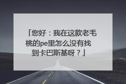 您好:我在这款老毛桃的pe里怎么没有找到卡巴斯基呀?