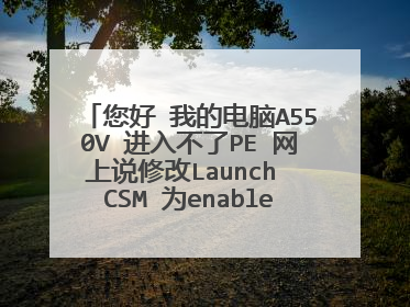 您好 我的电脑A550V 进入不了PE 网上说修改Launch CSM 为enable 但是我的选项是灰色的就是disable