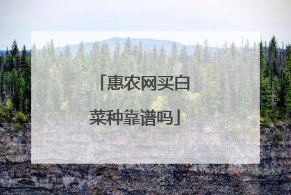 惠农网买白菜种靠谱吗