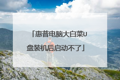 惠普电脑大白菜U盘装机后启动不了