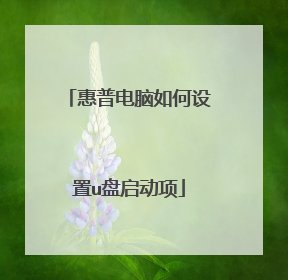 惠普电脑如何设置u盘启动项