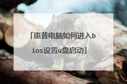 惠普电脑如何进入bios设置u盘启动
