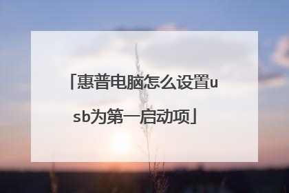 惠普电脑怎么设置usb为第一启动项