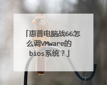 惠普电脑战66怎么调VMware的bios系统?