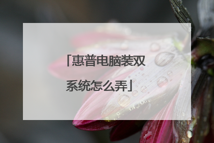 惠普电脑装双系统怎么弄