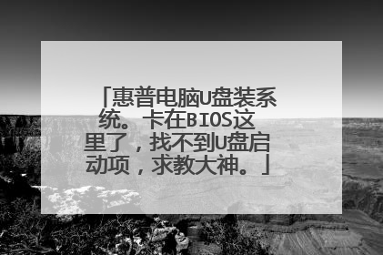 惠普电脑U盘装系统。卡在BIOS这里了,找不到U盘启动项,求教大神。