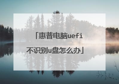 惠普电脑uefi不识别u盘怎么办