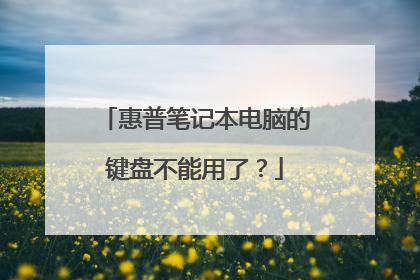 惠普笔记本电脑的键盘不能用了？