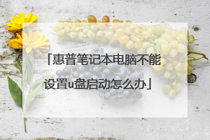 惠普笔记本电脑不能设置u盘启动怎么办