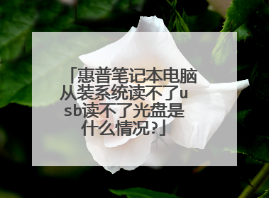 惠普笔记本电脑从装系统读不了usb读不了光盘是什么情况?