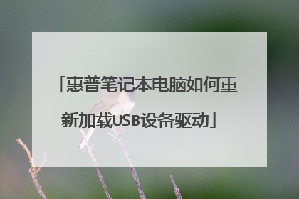 惠普笔记本电脑如何重新加载USB设备驱动